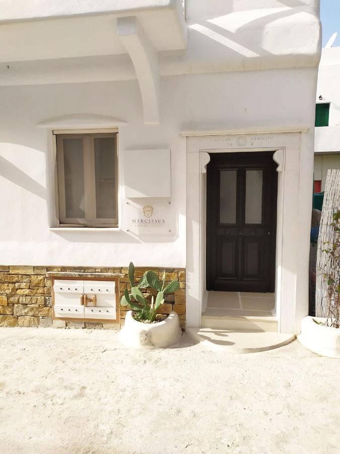 Narcissus Luxury Suites Naxos City Extérieur photo
