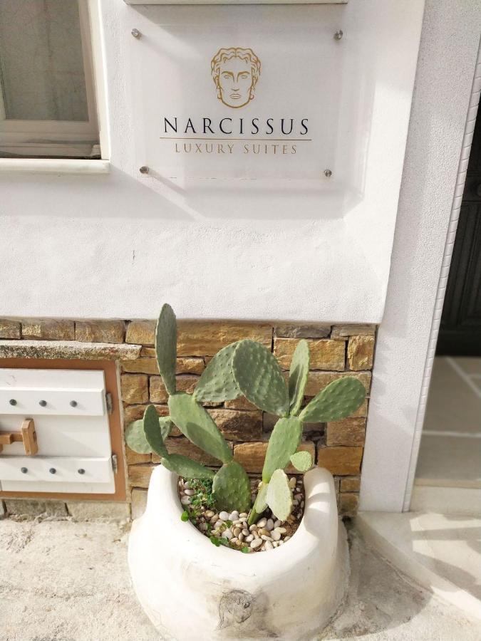 Narcissus Luxury Suites Naxos City Extérieur photo