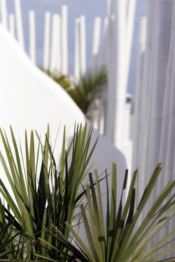 Narcissus Luxury Suites Naxos City Extérieur photo